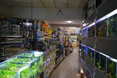 Egzotyka S.p.C. Sklep Zoologiczny. E.Schulz B.Schulz